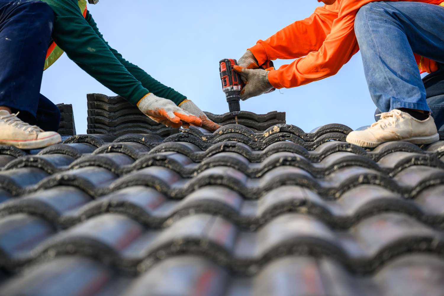 Shingle Roofing Services